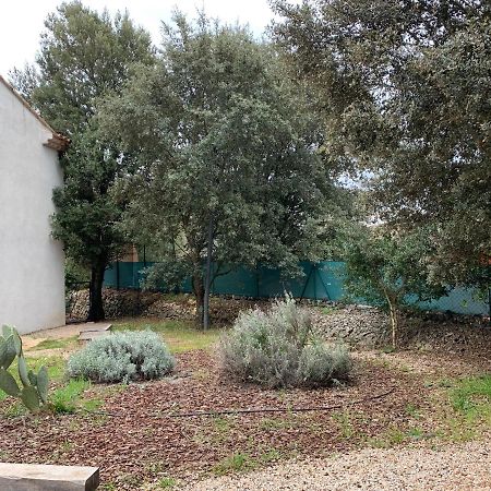 Magnifique Villa Classee 4* Meuble De Tourisme Flassans-sur-Issole エクステリア 写真