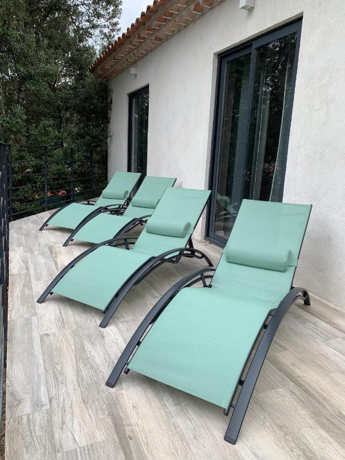 Magnifique Villa Classee 4* Meuble De Tourisme Flassans-sur-Issole エクステリア 写真