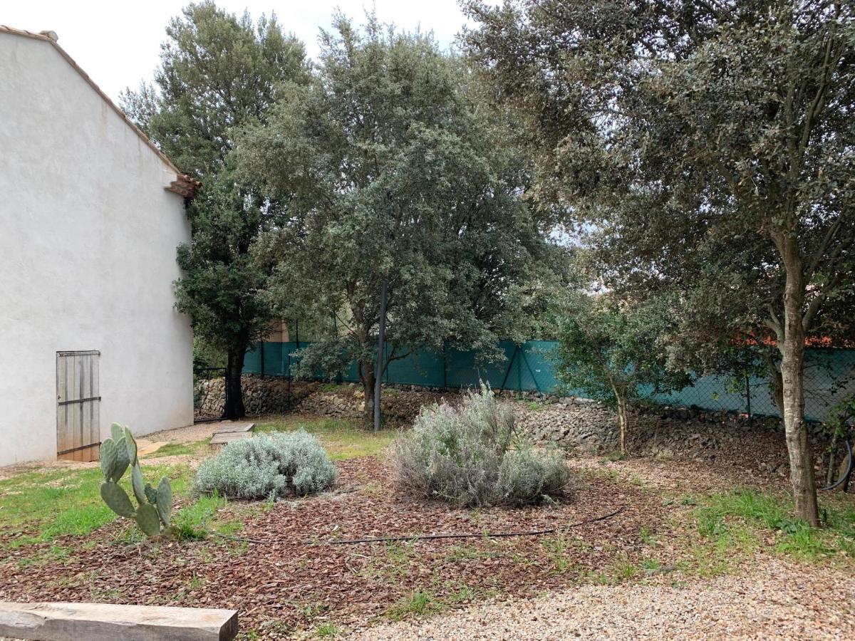 Magnifique Villa Classee 4* Meuble De Tourisme Flassans-sur-Issole エクステリア 写真